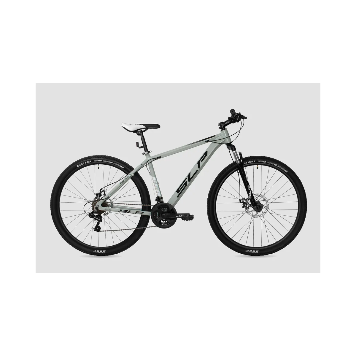 SLP 25 Pro R29